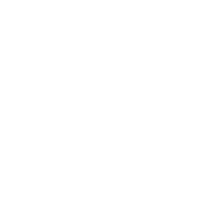 instant_download